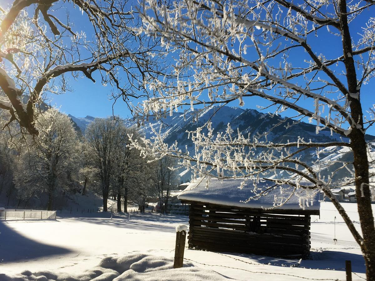Johannahof Appartements Kaprun Bagian luar foto